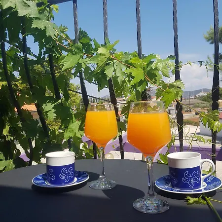 Jardin Kapetanova Kuca Apartment