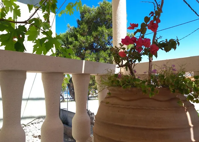 Lägenhet Jardin Kapetanova Kuca Veli Iž